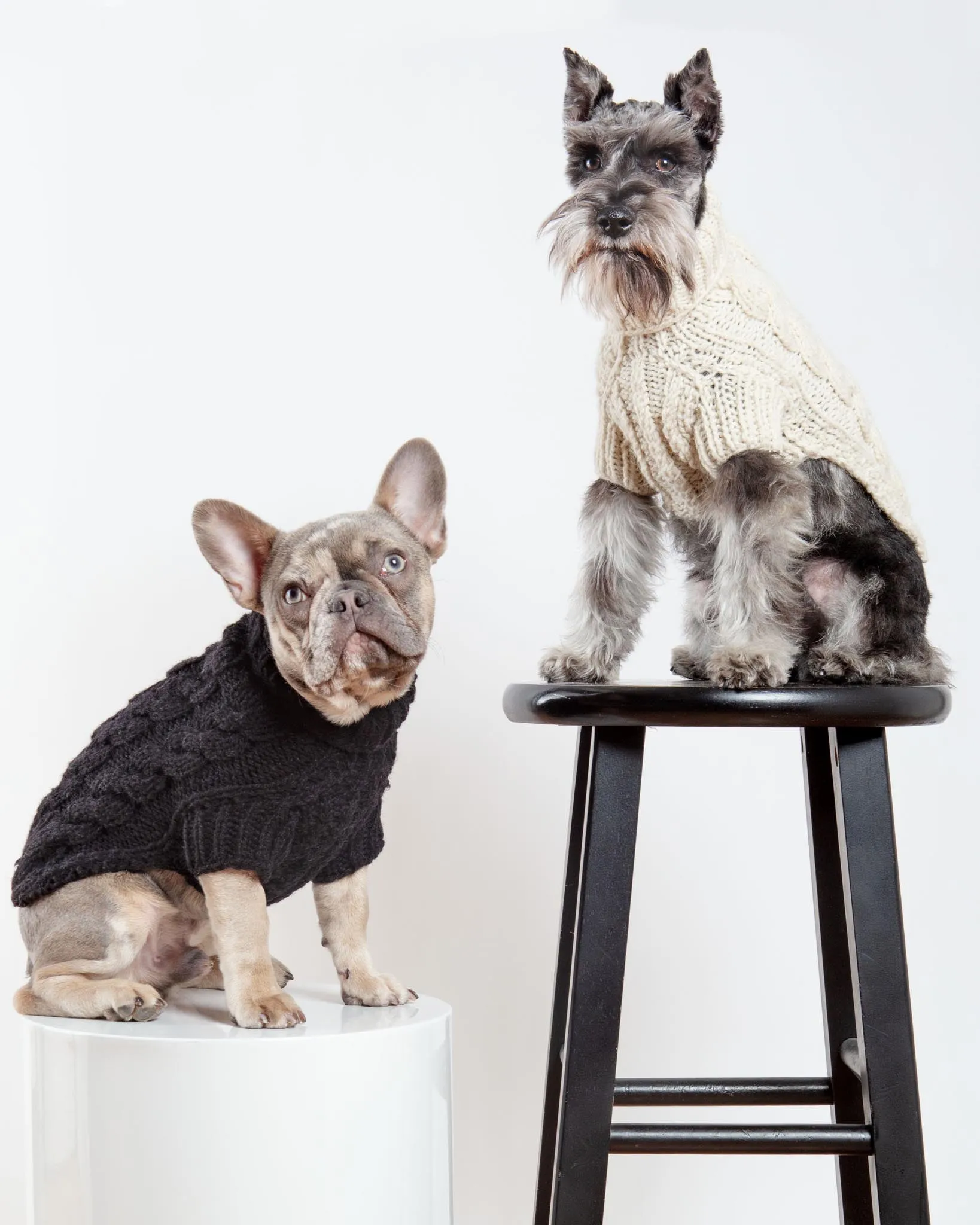Downtown Roll Neck Dog Sweater in Black (FINAL SALE)